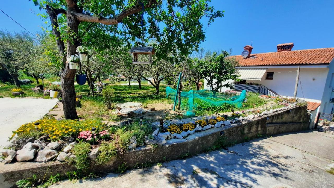 Apartma Bajc Secovlje Bagian luar foto