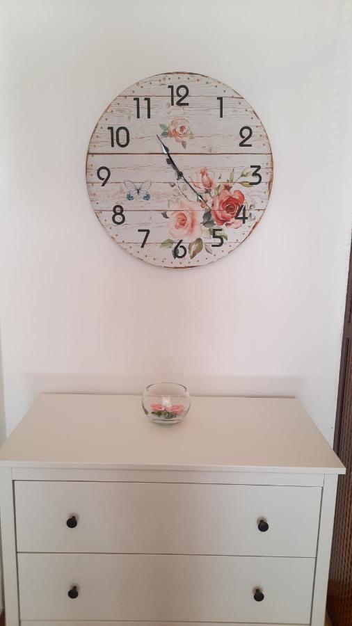 Apartma Bajc Secovlje Bagian luar foto