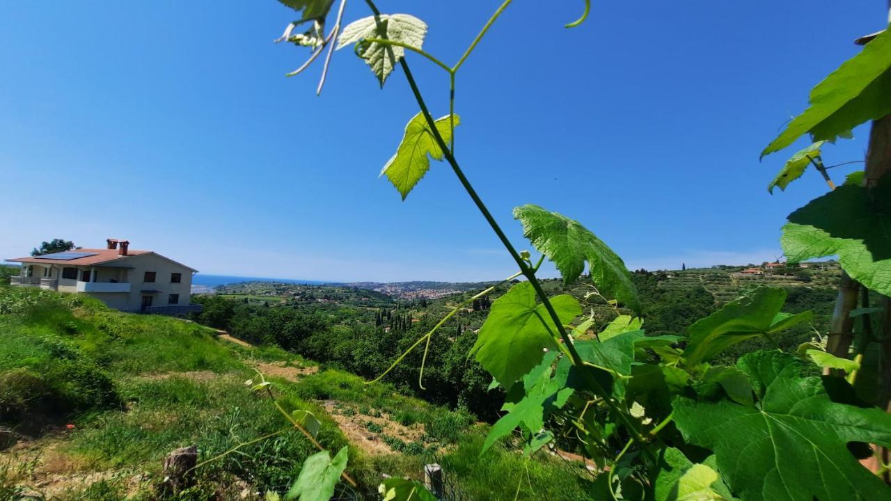 Apartma Bajc Secovlje Bagian luar foto