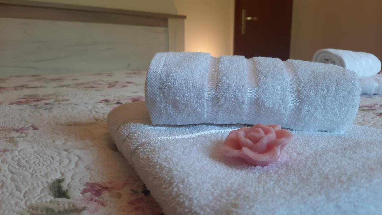 Apartma Bajc Secovlje Bagian luar foto