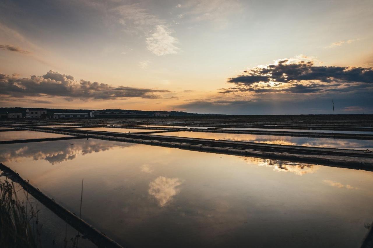 Apartma Bajc Secovlje Bagian luar foto